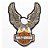 Patch Bordado Harley Davidson Aguia Tradicio 34x25cm - Imagem 4