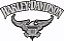 Patch Bordado Harley Davidson Iron 883 34x17cm - Imagem 1