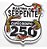 Patch Bordado Placas Rastro Da Serpente Br250 7x7,5cm - Imagem 1