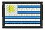 Patch Bordado Bandeiras Kit 5 Bordado Bandeiras Arg, Uru, Ms, Df, Go, 7x5cm - Imagem 2
