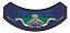 Patch Bordado Harley Davidson Hog 1994 Harley Davidson Anual 14,4x7cm - Imagem 1