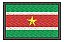 Patch Bordado Bandeiras Bandeira Suriname 6x4cm - Imagem 1