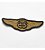Patch Bordado Harley Davidson 110 Anos Dourado 10x3cm - Imagem 1
