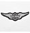 Patch Bordado Harley Davidson Asas 12x3,7cm - Imagem 1
