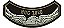 Patch Bordado Harley Davidson Hog 2020 Harley Davidson Anual 14,4x7cm - Imagem 1