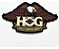 Patch Bordado Harley Davidson Aguia Hog 12,7x7,3cm - Imagem 1