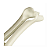Espéculo Nasal Adulto - KOLPLAST-Cx 20 Uni. - Imagem 4