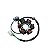 Estator Magneto Sundown Web 100 02/14 6 Bobinas - Imagem 5