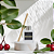 Difusor de Ambiente Cambuí 250ml - Imagem 3