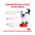 Ração Royal Canin Feline Kitten 10,1kg - Imagem 4