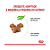 Ração Royal Canin Feline Kitten 10,1kg - Imagem 3