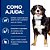 Ração Hill's 3,85 kg Prescription Diet Metabolic + Mobility para Cães - Imagem 5