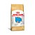 Ração Royal Canin Bulldog Inglês para Cães Filhotes 12kg - Imagem 1