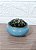 INCENSARIO TURÍBULO Porcelana AZUL + DEFUMADOR palo santo - Imagem 5