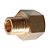 Conexão Redutora Macho 1/4 Npt X M16x1,5mm Fêmea Latão - Imagem 1