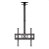 SUPORTE DE TETO PARA TV DE 26" A 60" TOMATE MT-34 - Imagem 1