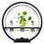 LUMINARIA DE MESA COM SUPORTE PARA PLANTAS COM LED TOMATE MDL-004 - Imagem 2