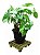 Carrinho De Madeira Para Vaso Planta Suporte Botijão Base - Imagem 3