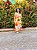 VESTIDO DÉBORA -  COLEÇÃO - CAJU -COLORIDO - Imagem 3