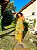 VESTIDO PATRÍCIA - ALTO VERÃO-AMARELO - VISCOSE PRÉ LAVADO - Imagem 1