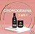 Linha Cronomix (cronograma 3 em 1) - Imagem 3