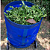 Lixeira de Jardim  Com Rodas - Imagem 8
