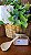 Esfoliante Corpo e Rosto Nutritivo - Imagem 2