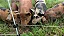 🚫 🐂🐄🐎 CERCA ELÉTRICA RURAL⚡️ 🐐🐖 - Imagem 10