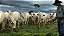 🚫 🐂🐄🐎 CERCA ELÉTRICA RURAL⚡️ 🐐🐖 - Imagem 4