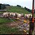 🚫 🐂🐄🐎 CERCA ELÉTRICA RURAL⚡️ 🐐🐖 - Imagem 3