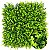 Jardim Vertical Jade - Imagem 1