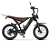 Bicicleta Elétrica Panda GT20 PRO 1000W 48V 15Ah - Imagem 1