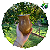 Cuia Bago de Touro Virola de Alpaca - BR26 - Imagem 1