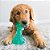 Kong Squeezz Dental Bone - M - Imagem 3