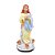 Imagem Nossa senhora da Conceição de gesso - Imagem 1