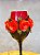 Taça luxo rosas vermelhas - Imagem 3