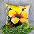 Capa de Almofada Veludo Estampada 45x45 (flores amarelas) - Imagem 2