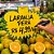 Cartaz Splash para Hortifruti 23cm x 15cm – Modelo B3 | Papel Cartão 250g | 50 ou 100 Folhas - Imagem 5