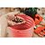Cachepo Vaso Plastico Flores Rosa 5,5Ltramontina 78125213 - Imagem 5