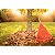 Vassoura Jardim Plastica 26D S/ Cabo Tramonti 77855261 - Imagem 3