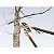 Tesourao Poda Tipo Anvil Cabo Extensivel Tramontina 78366505 - Imagem 3
