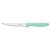 Faca Para Churrasco Inox 5 Ipanema Verde Tramon 23360425 - Imagem 1