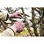 Serrote Fixo Para Poda 12 Tramontina 78374401 - Imagem 3