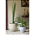 Vaso Laos 45Cm Bege Tramontina 92796110 - Imagem 4