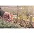 Tesoura Poda, Bypass Tramontina 78300001 - Imagem 4