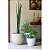 Vaso Laos 38Cm Bege Tramontina 92797110 - Imagem 4