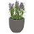 Vaso Laos 38Cm Concreto Tramontina 92797210 - Imagem 3