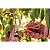 Tesoura Cozinha Cortar Frutas Tramontina 78311051 - Imagem 1