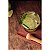 Kit Caipirinha Tabua Copo Pilão Tramontina 10239211 - Imagem 2