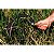 Foicinha Foice Para Pasto Mato Com Cabo Tramontina 77682025 - Imagem 2